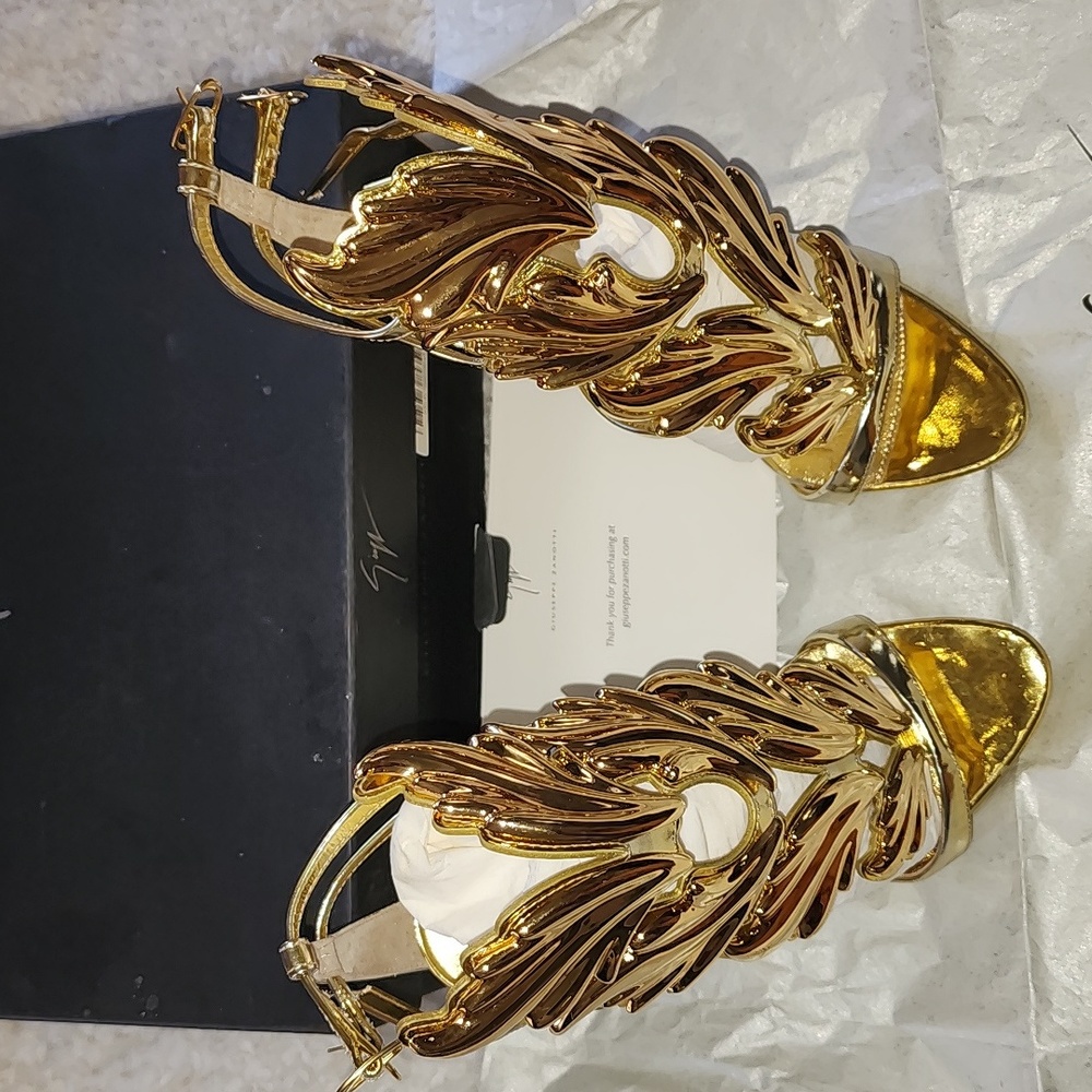 Giuseppe Zanotti